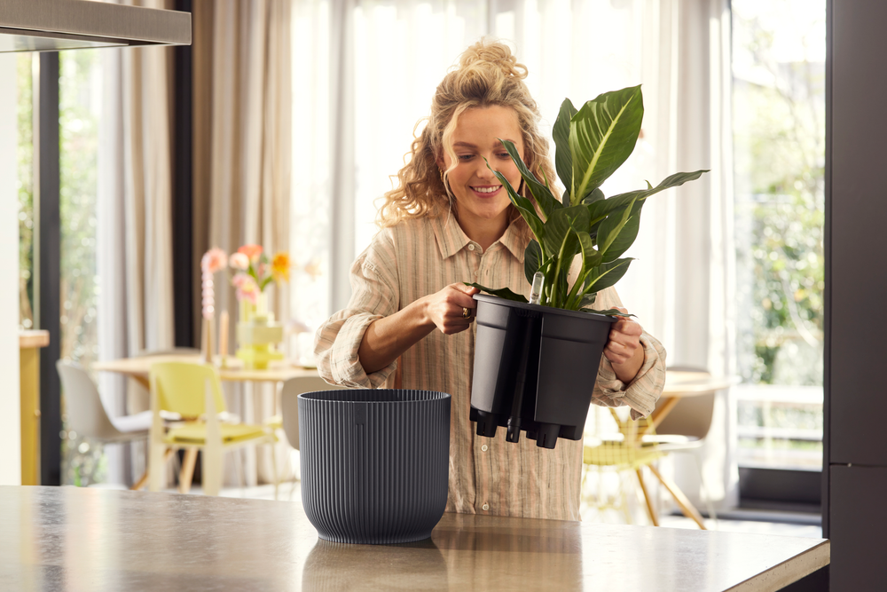 BNDL Vibes Fold Rond 22+swi 21