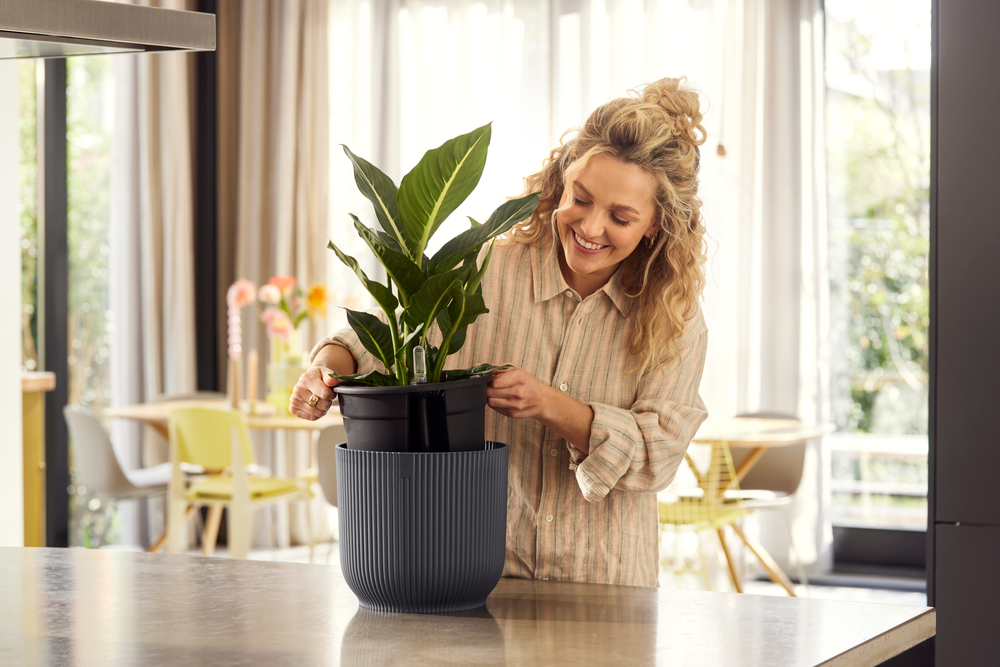 All-in-1 Vibes Rond 25 + Swi 24