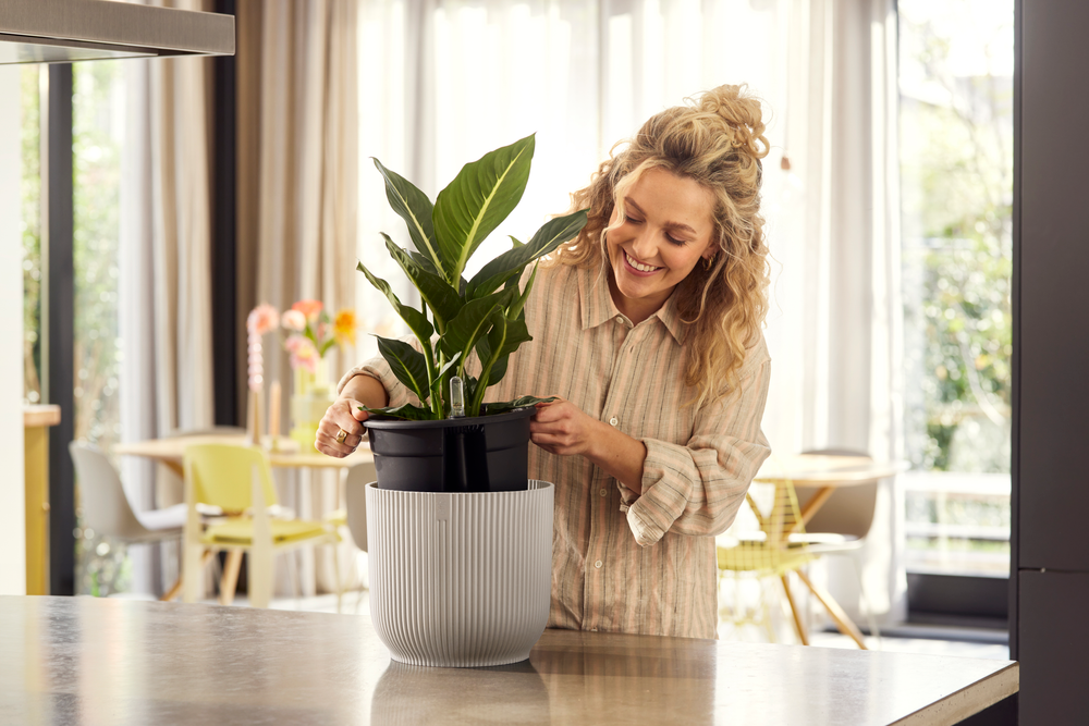 All-in-1 Vibes Rond 18 + Swi 17