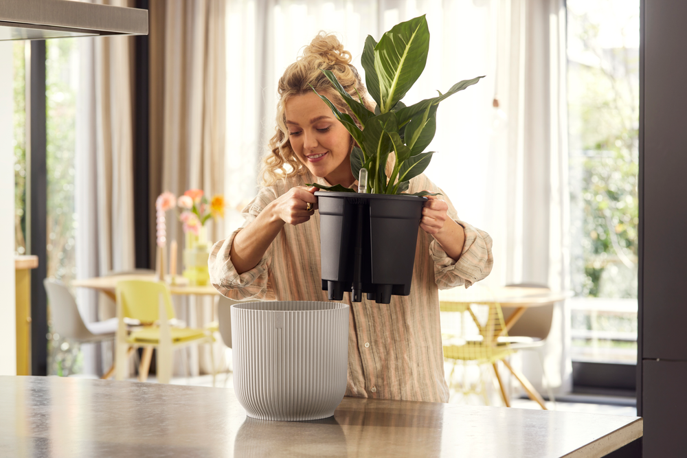 All-in-1 Vibes Rond 25 + Swi 24