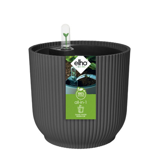 All-in-1 Vibes Rond 25 + Swi 24