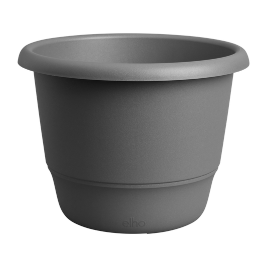 Amiga Rond 55