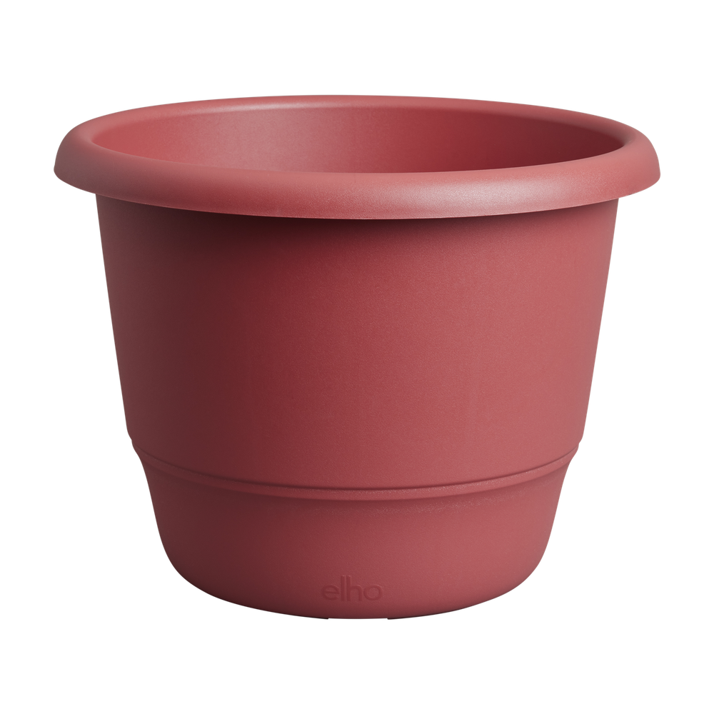 Amiga Rond 35