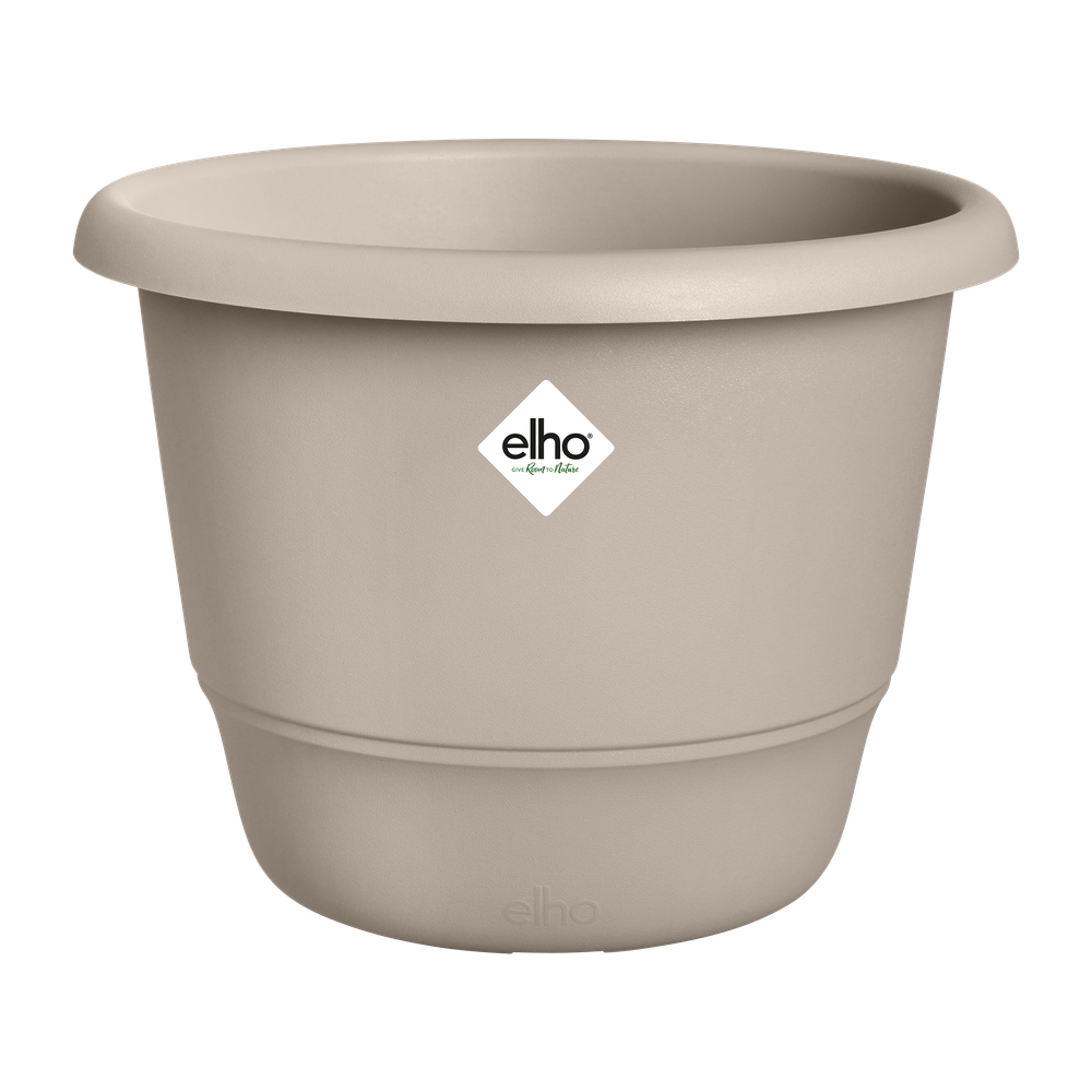 Amiga Rond 55
