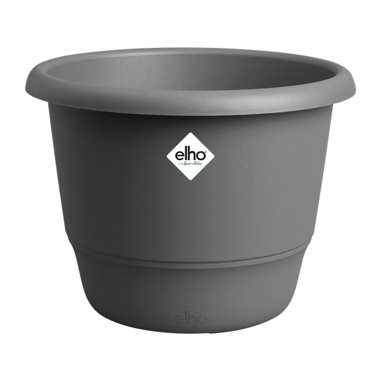Amiga Rond 55