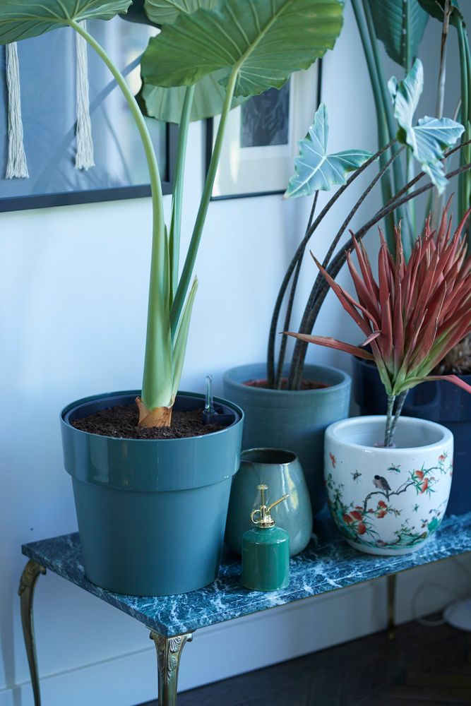 B.for Original Rond 18