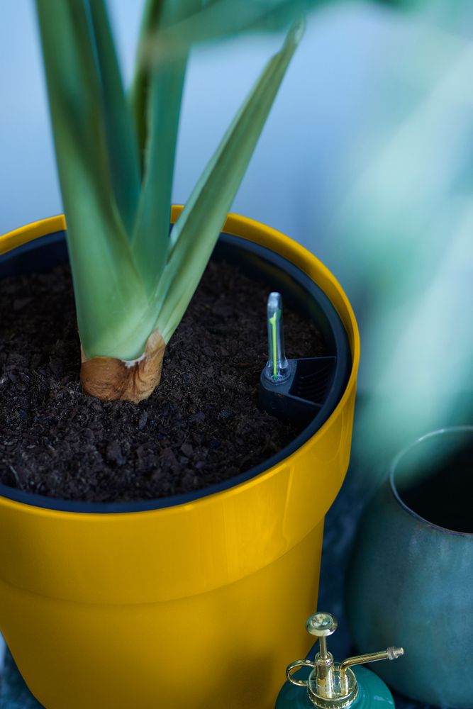 B.for Original Rond 30