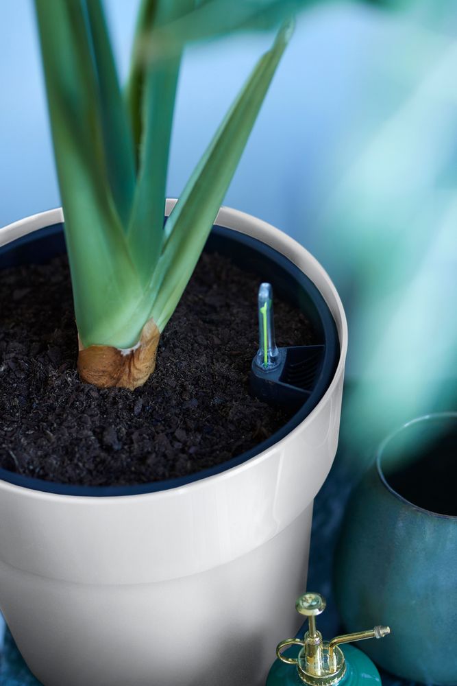 B.for Original Rond Wielen 35