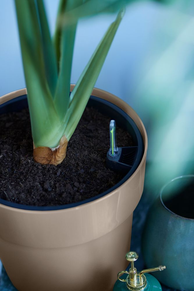 B.for Original Rond 30