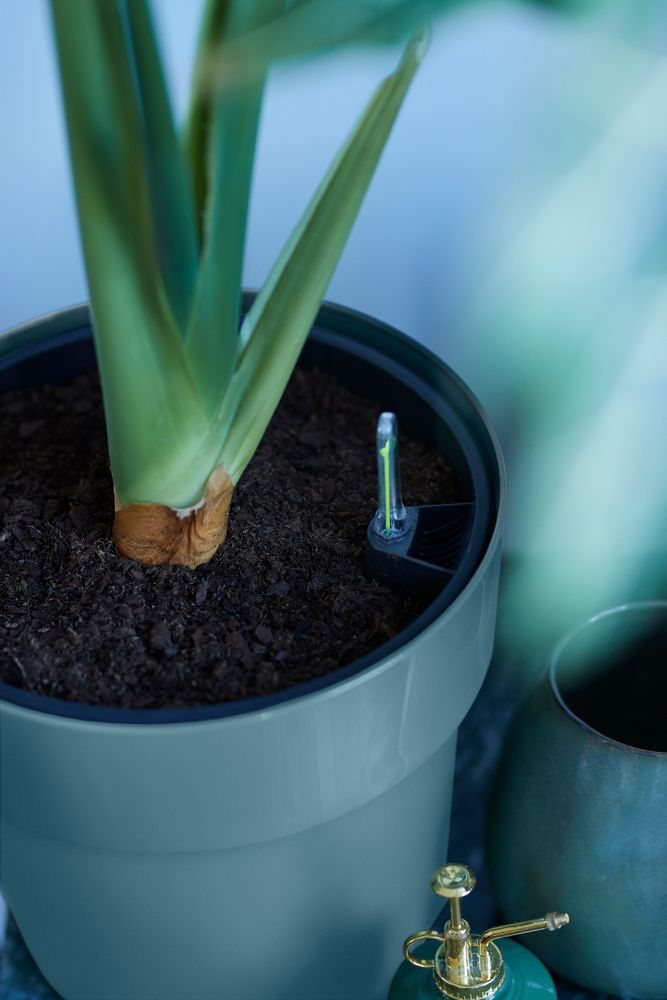 B.for Original Rond 18