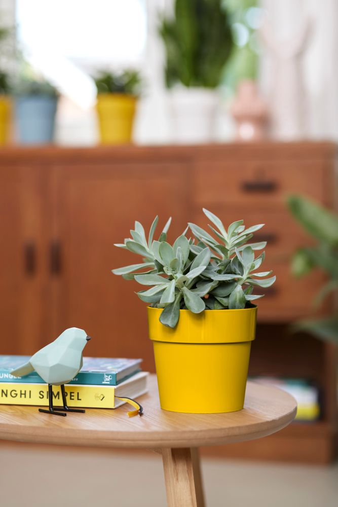 B.for Original Rond 14