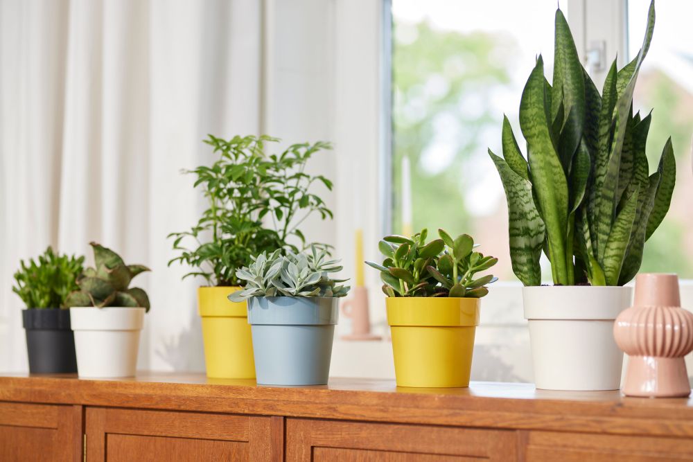 B.for Original Rond 14