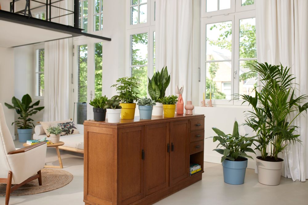 B.for Original Rond 14