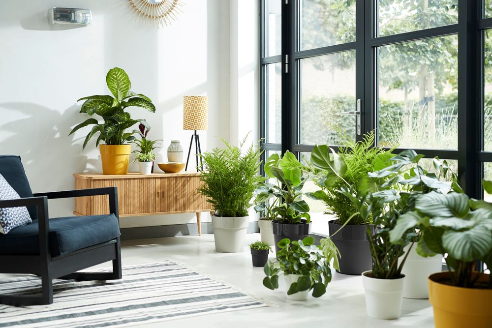 B.for Original Rond 14