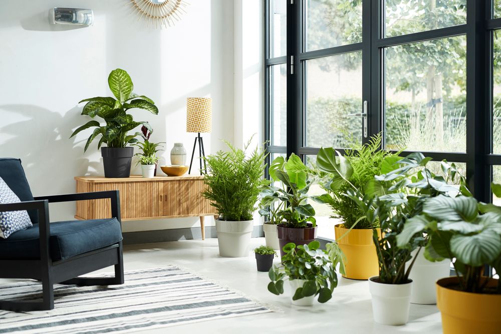 B.for Original Rond 22