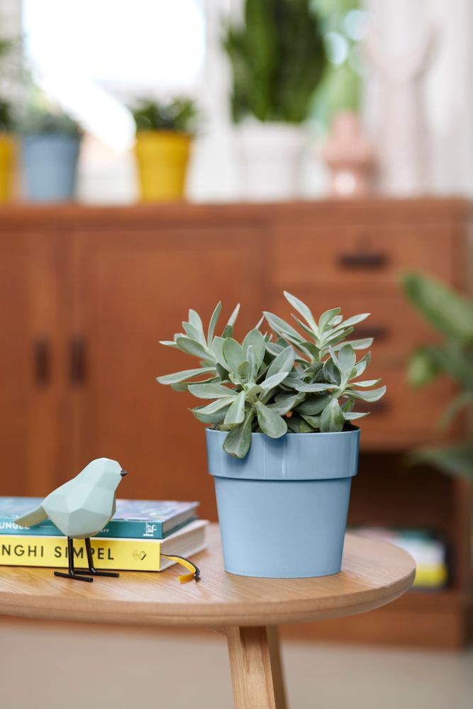 B.for Original Rond 18