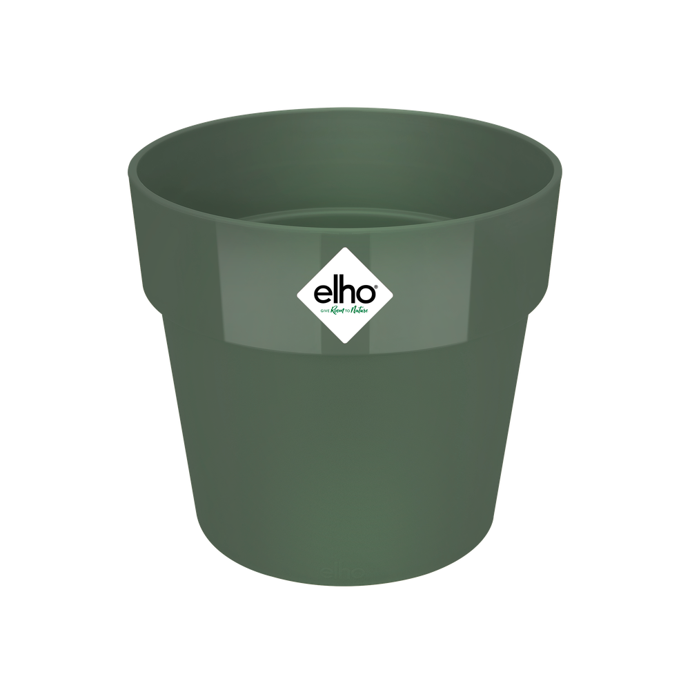 B.for Original Rond 16