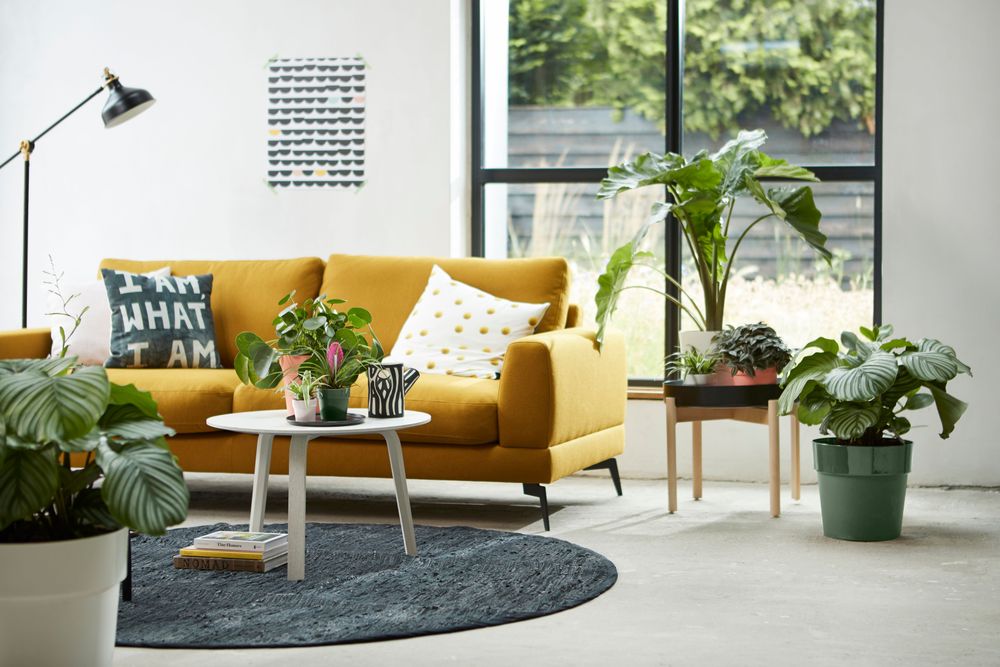 B.for Original Rond Wielen 35