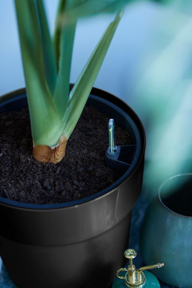 B.for Original Rond Wielen 35