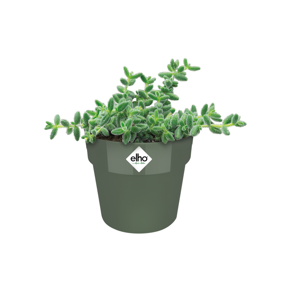 B.for Original Rond Mini 9