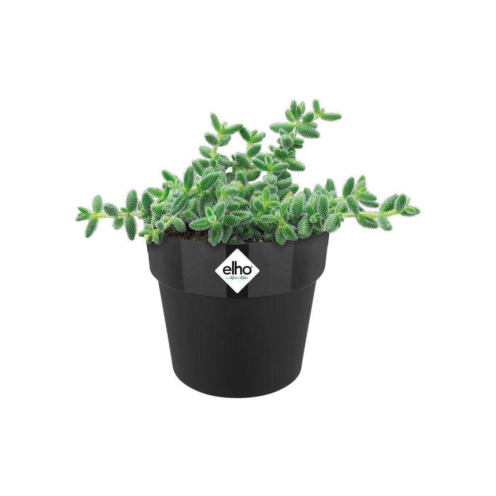 B.for Original Rond Mini 9