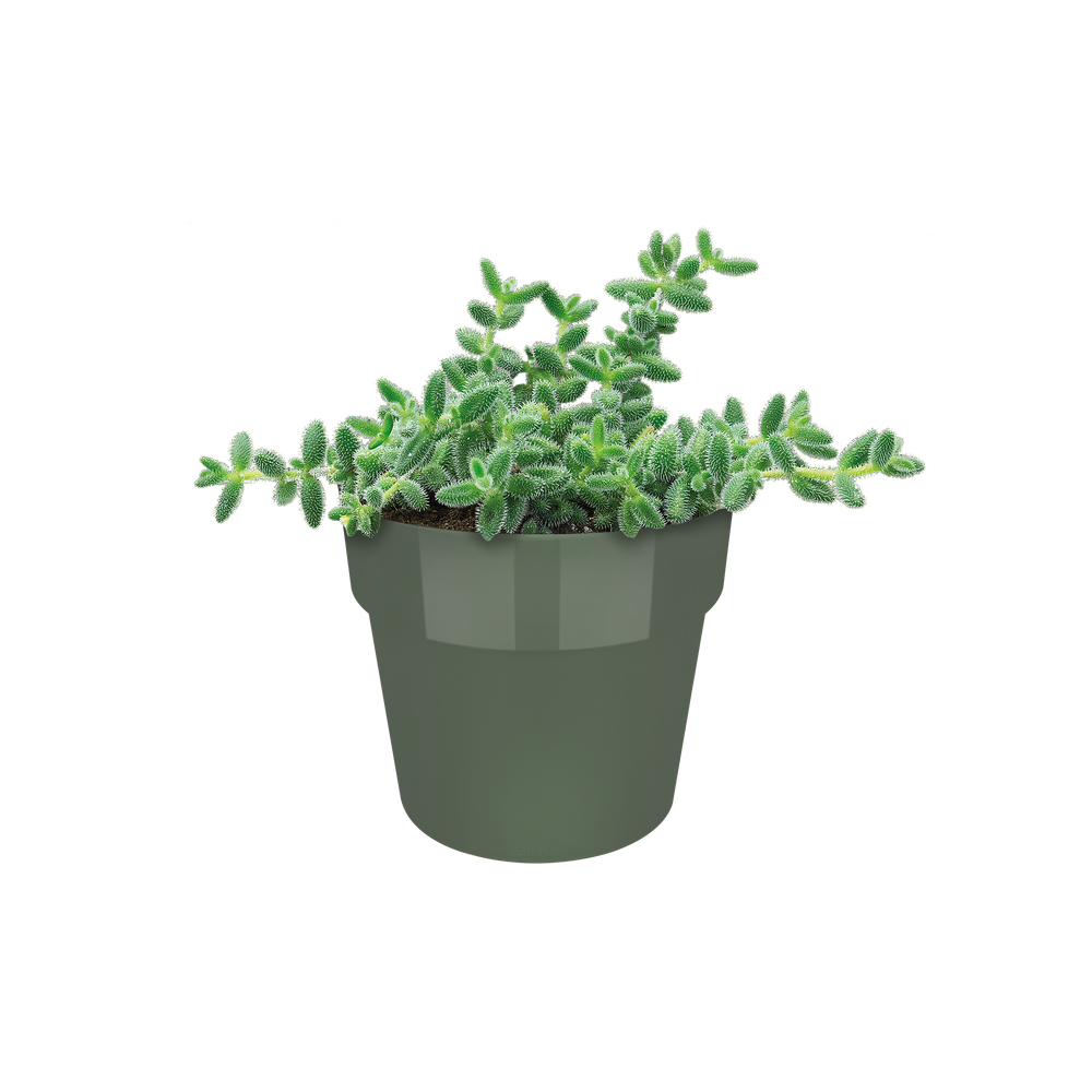 B.for Original Rond Mini 9