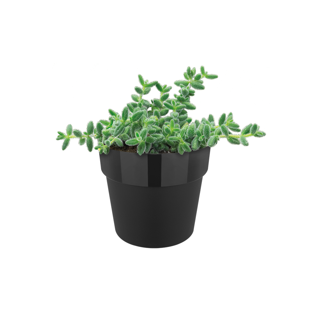 B.for Original Rond Mini 13