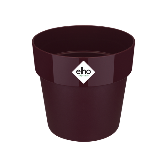 B.for Original Rond 30