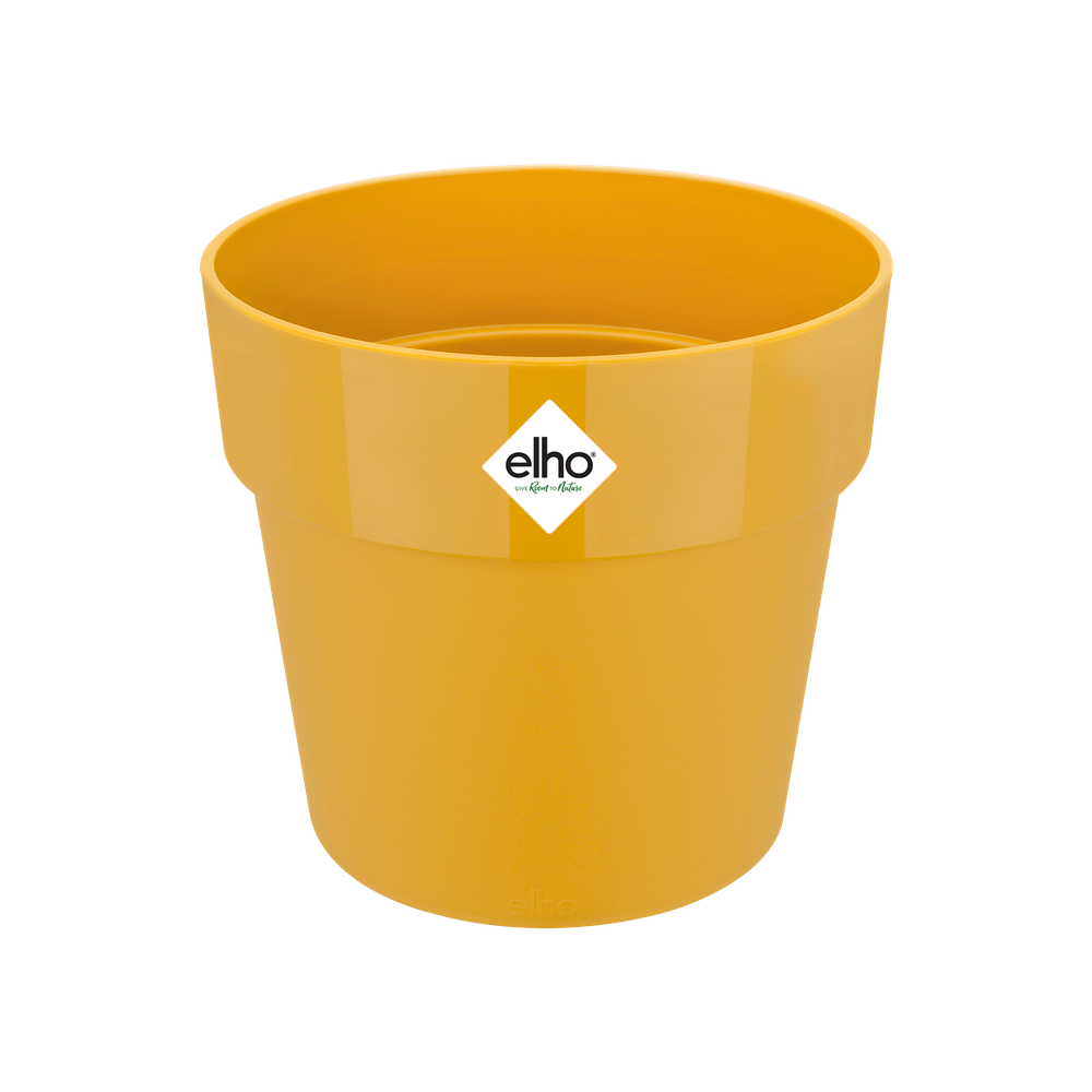 B.for Original Rond 25