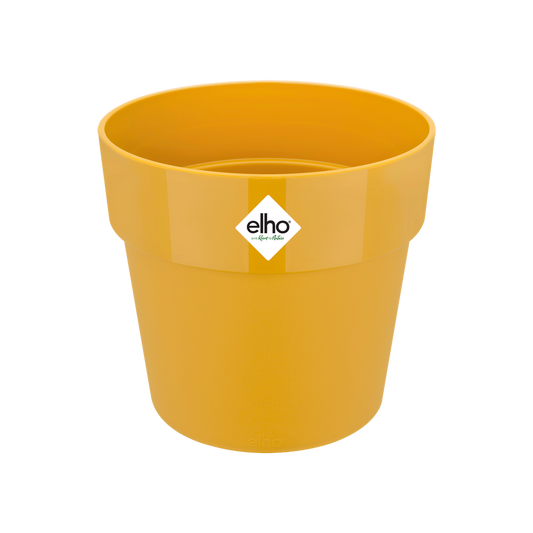 B.for Original Rond 22