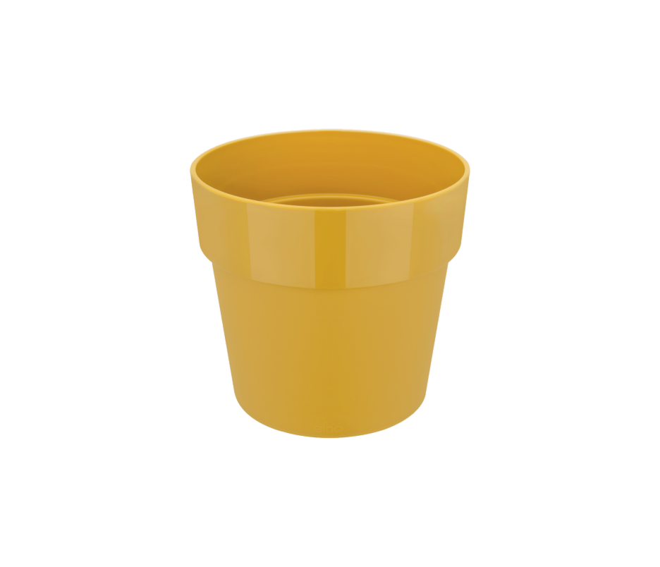 B.for Original Rond 30