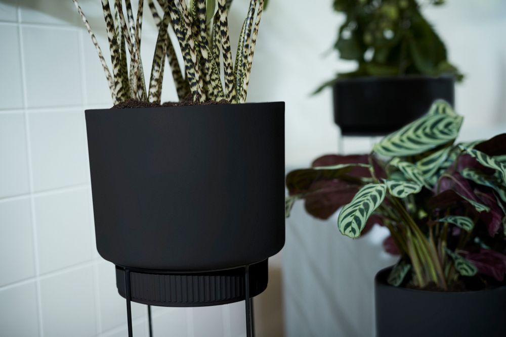 B.for Studio Schaal 30