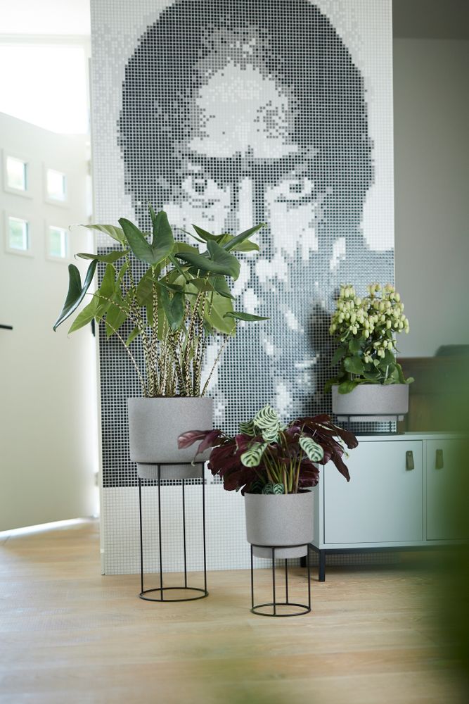 B.for Studio Rond 22