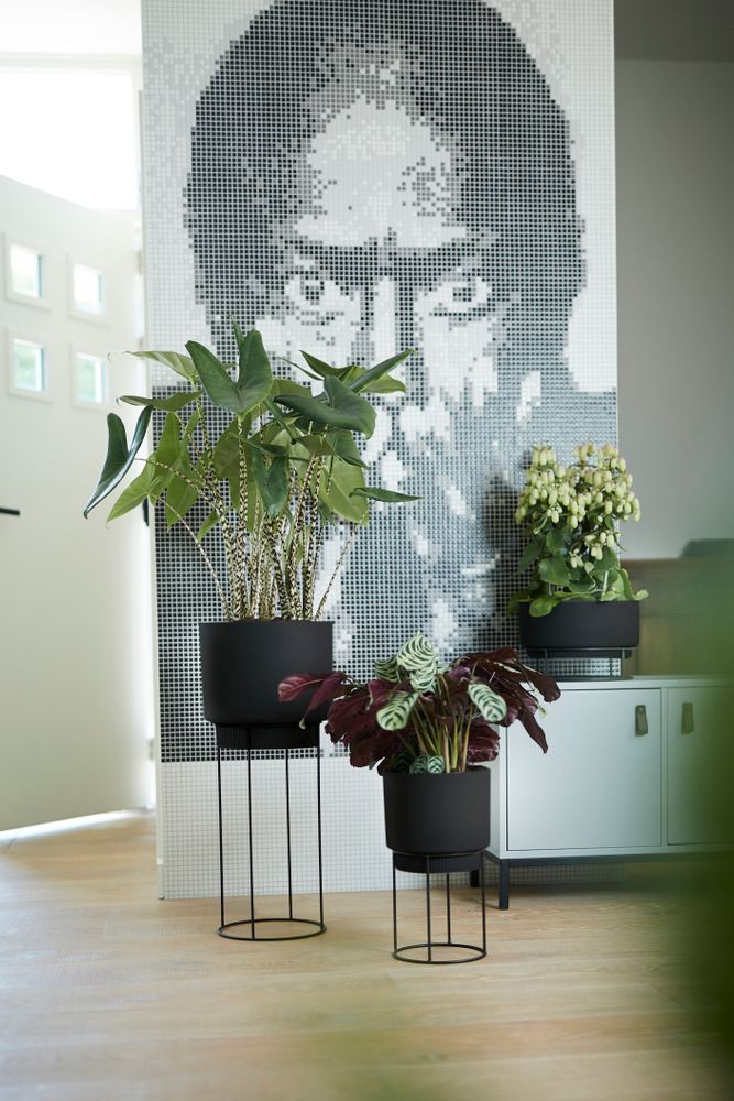 B.for Studio Schaal 30