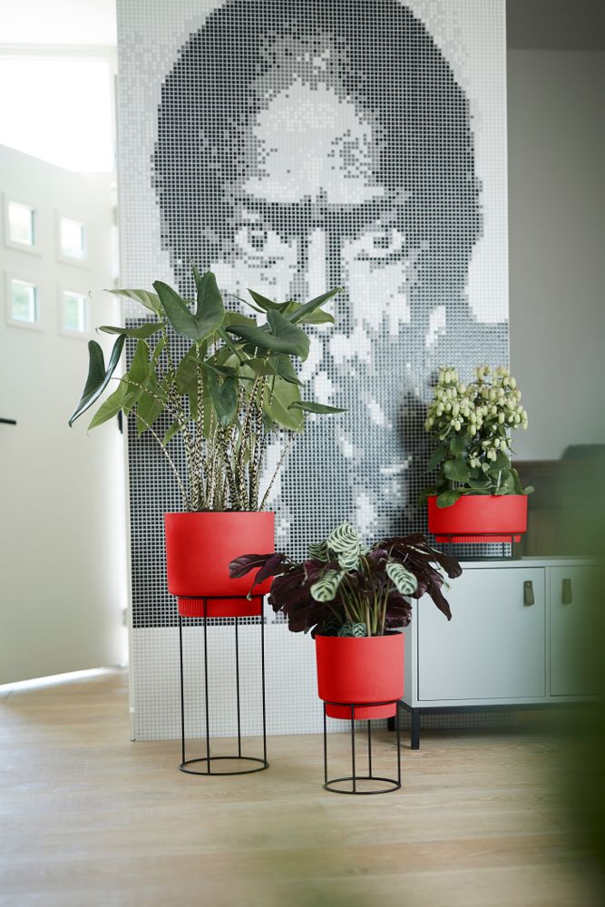 B.for Studio Schaal 30