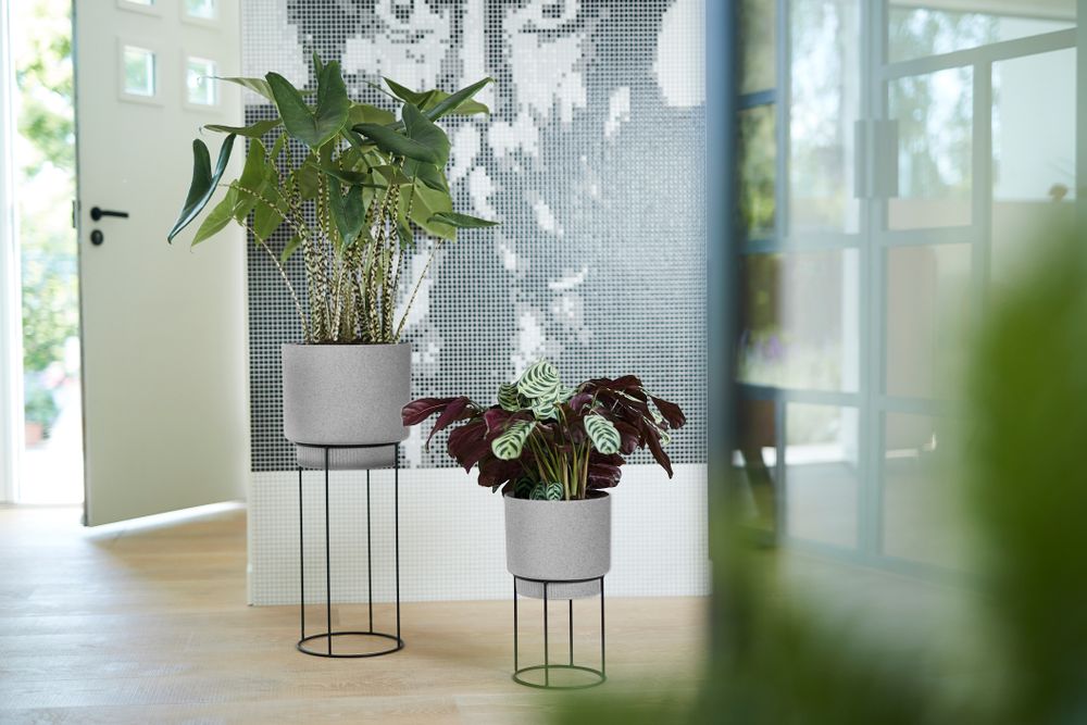 B.for Studio Rond 22