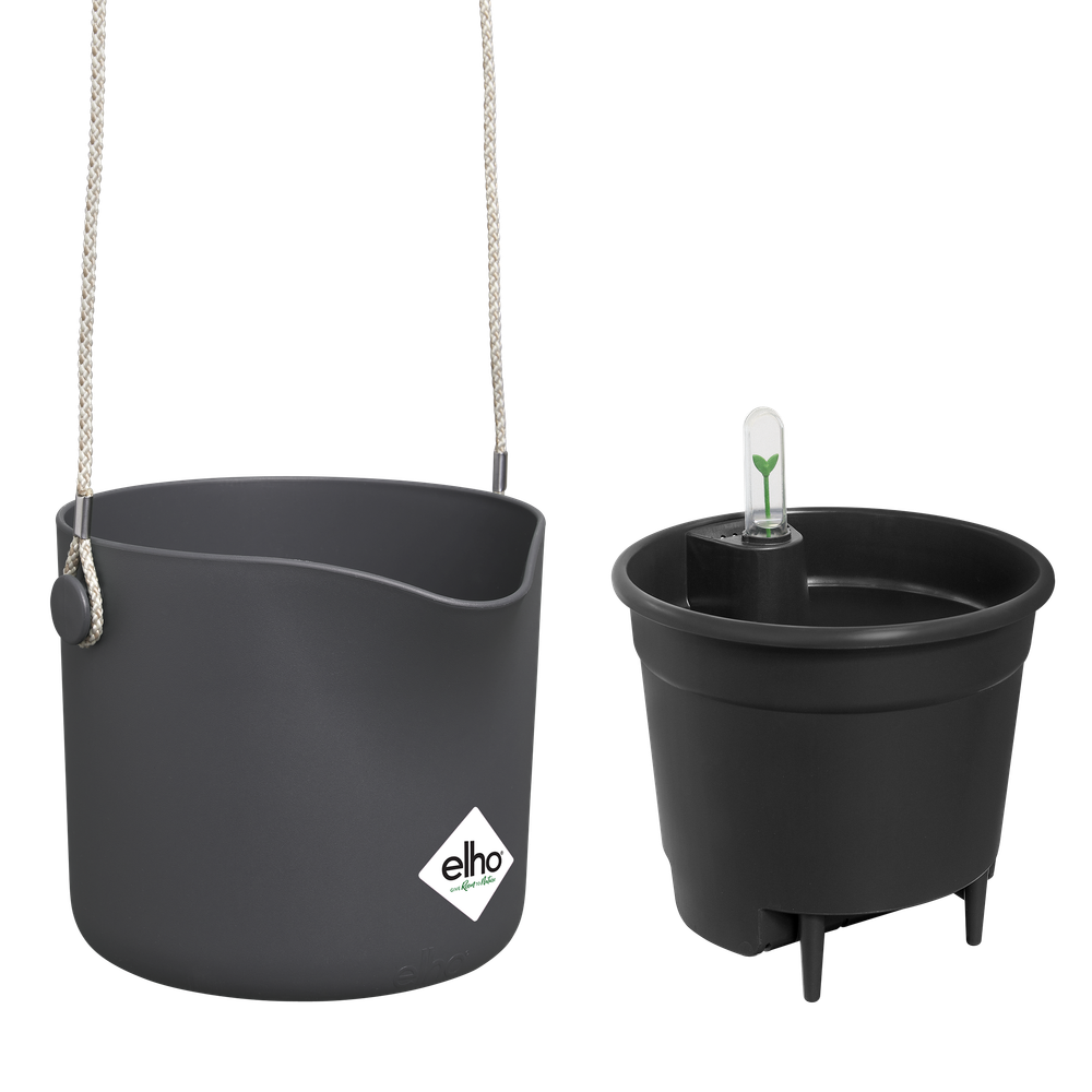 BNDL B.for Swing18+swi 17