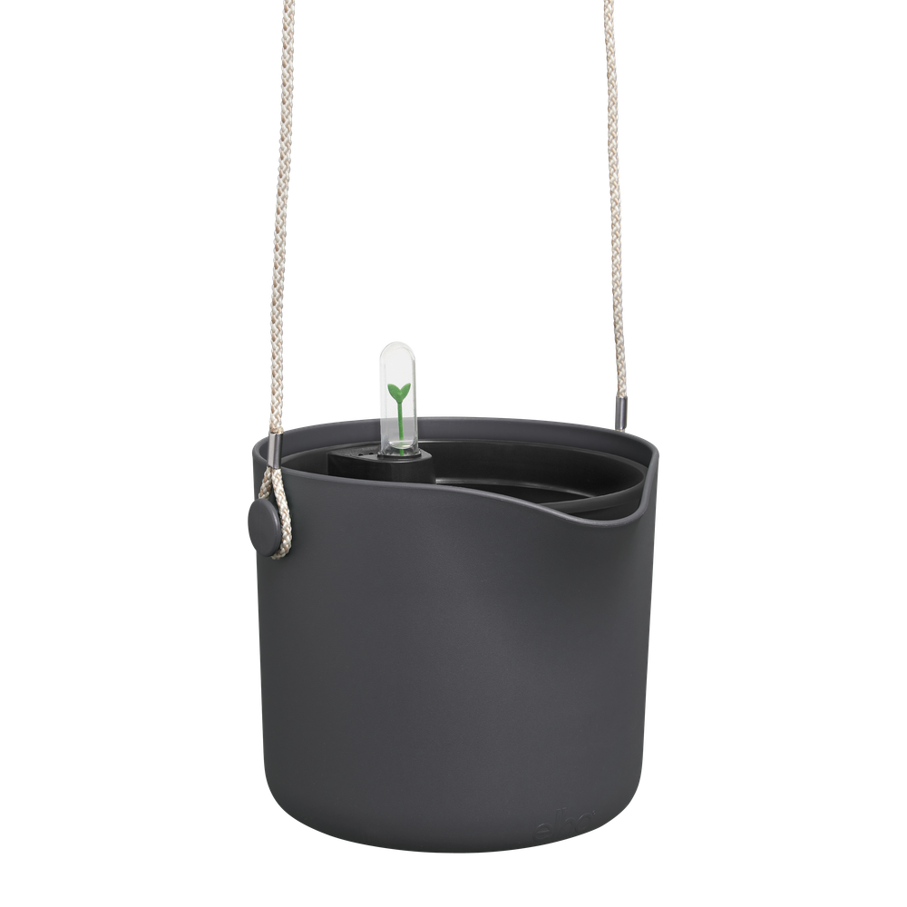 BNDL B.for Swing18+swi 17