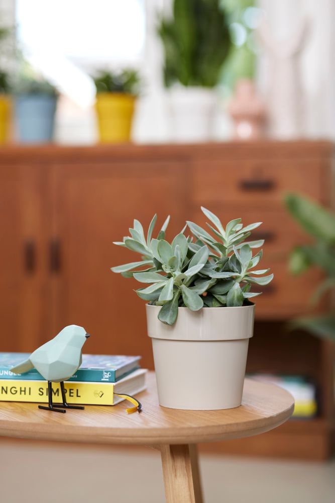 B.for Original Rond 22