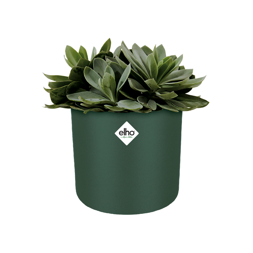 B.for Soft Rond 35