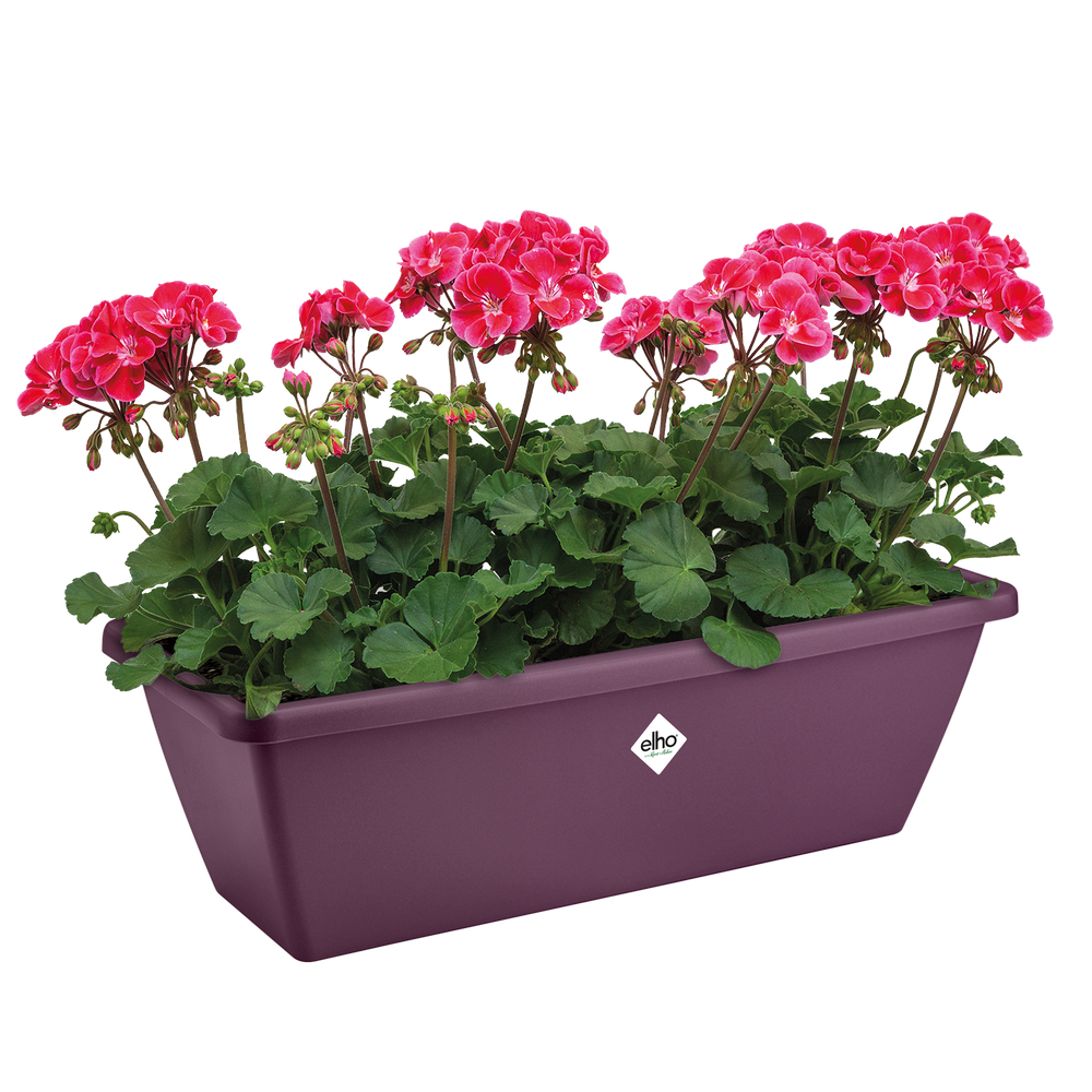 Barcelona Balkonbak 50