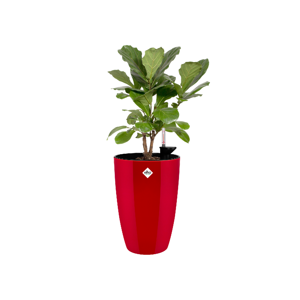 Brussels Diamond Rond Hoog 32