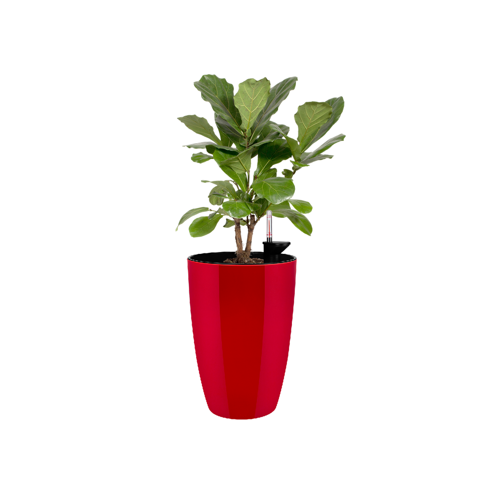 Brussels Diamond Rond Hoog 32