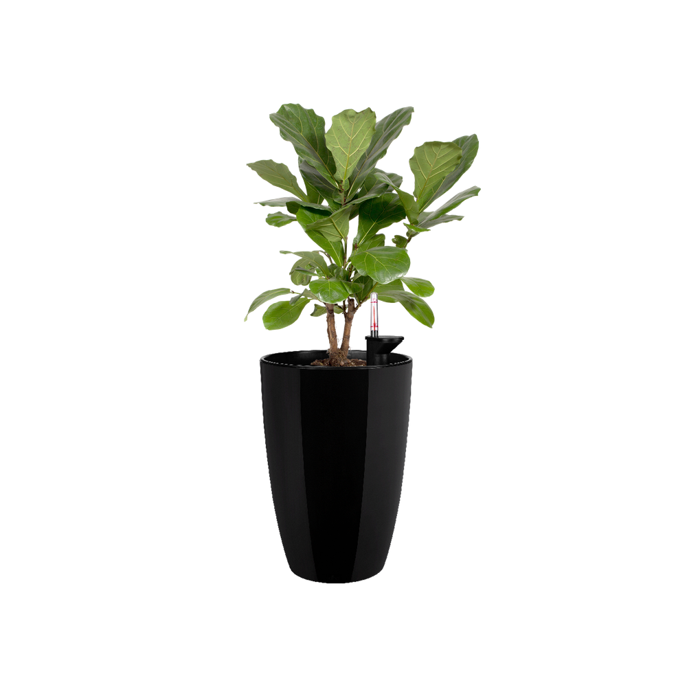 Brussels Diamond Rond Hoog 32