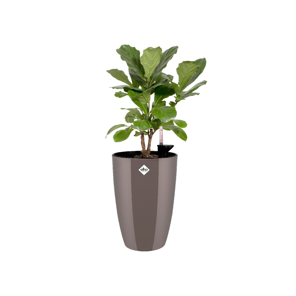 Brussels Diamond Rond Hoog 27