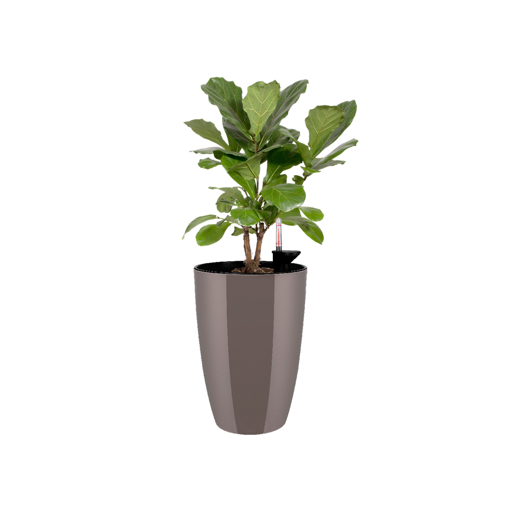 Brussels Diamond Rond Hoog 32