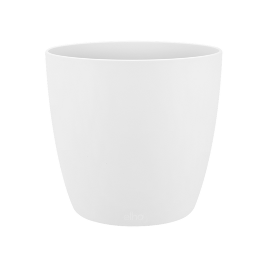 Brussels Rond Mini 12,5