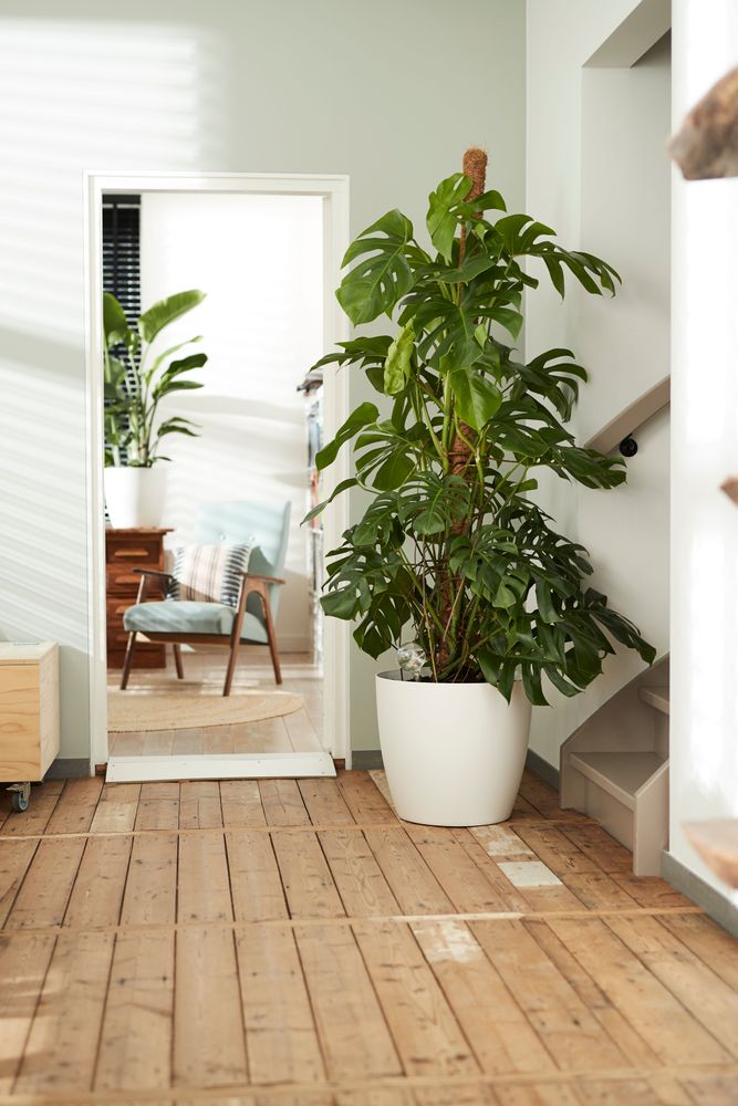 BNDL Brussels Rond Wielen 35, 40