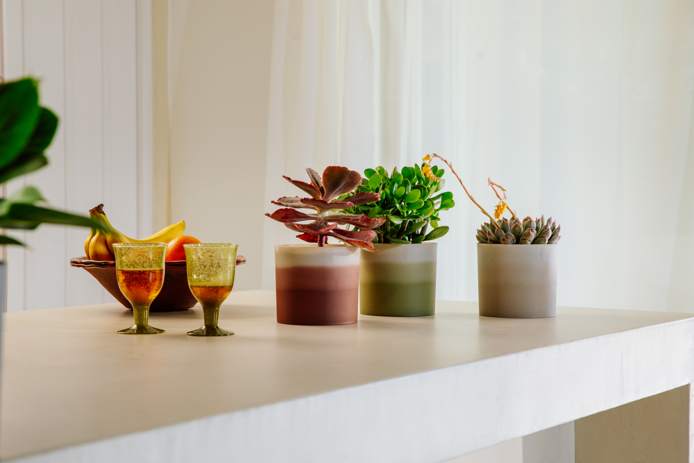 Colour Gradient Rond 16