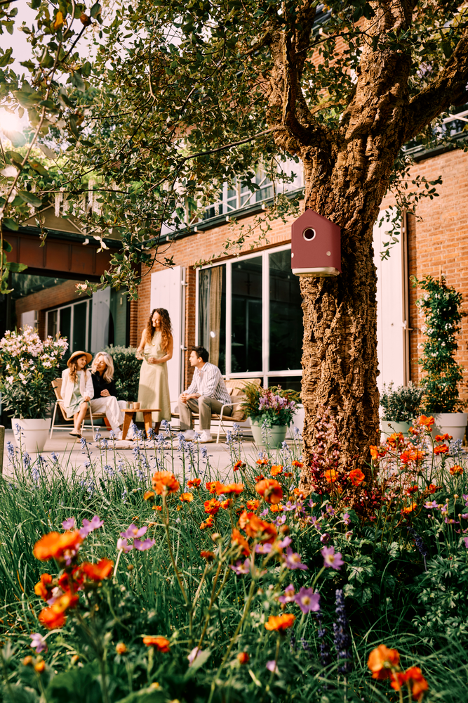 BNDL Cosy Bird House + Feeder